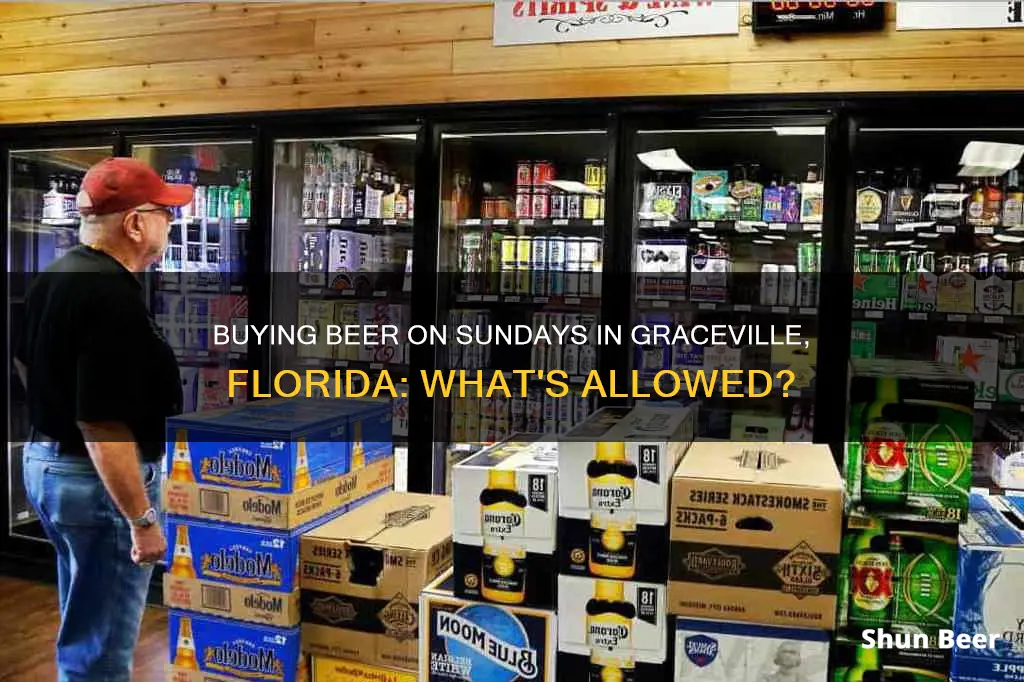 can i buy beer on sunday in graceville florida