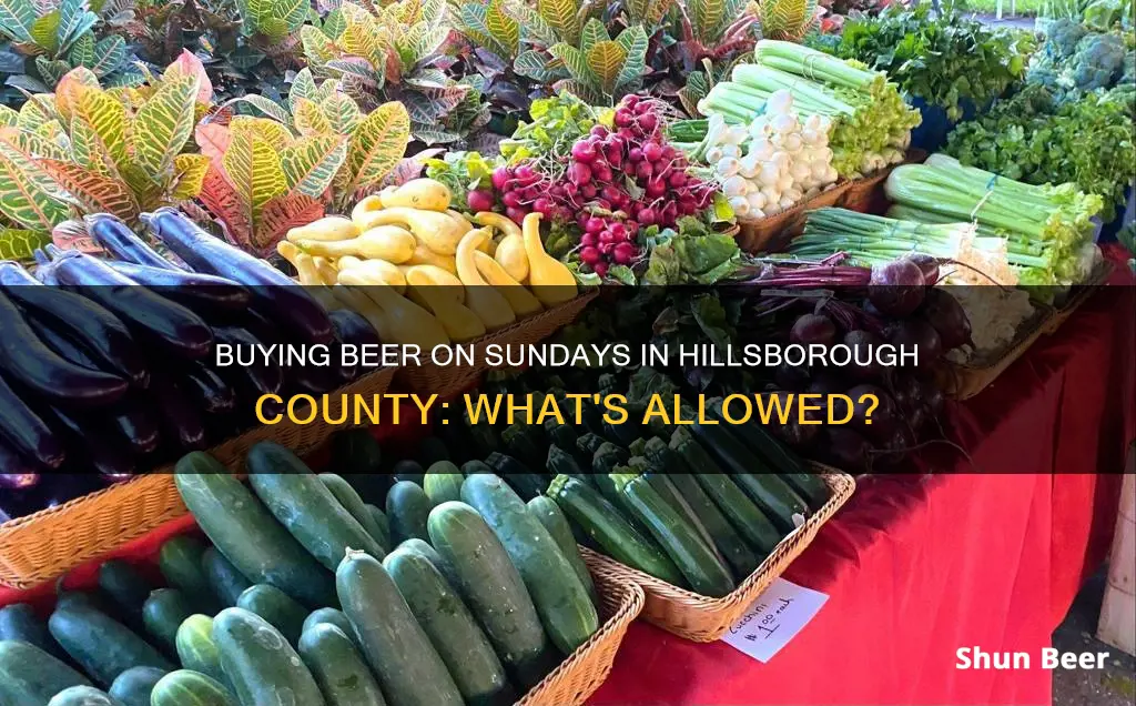 can i buy beer on sunday in hillsborough county