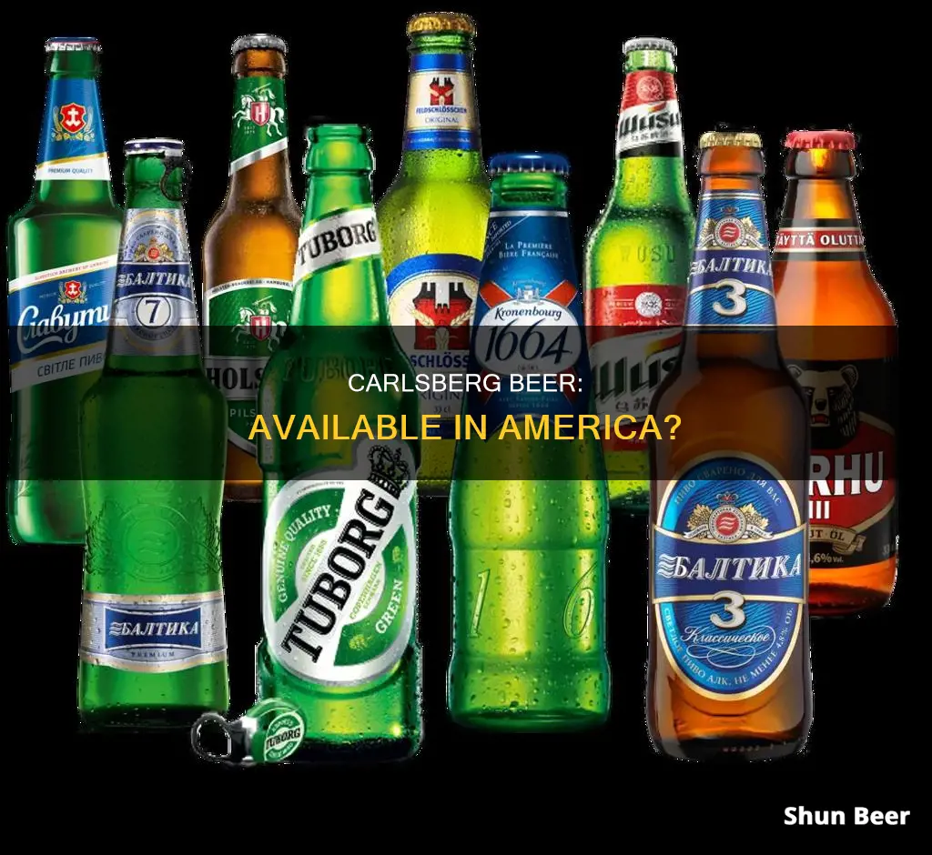 can i buy carlsberg beer in america