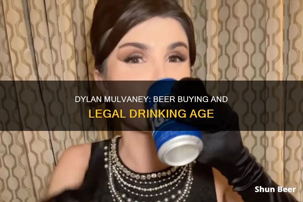 can i buy dylan mulvaney beer