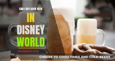 Good Beer in Disney World: A Myth or Reality?