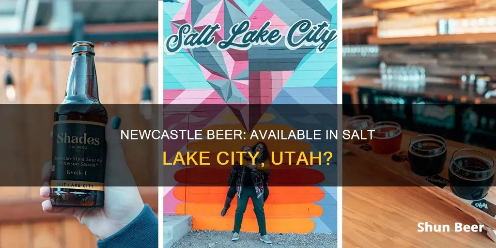 can i buy newcastle beer in salt lake city utah