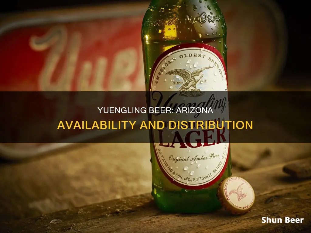 can i buy yuengling beer in arizona