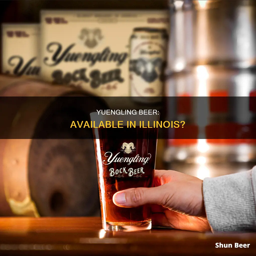 can i buy yuengling beer in illinois