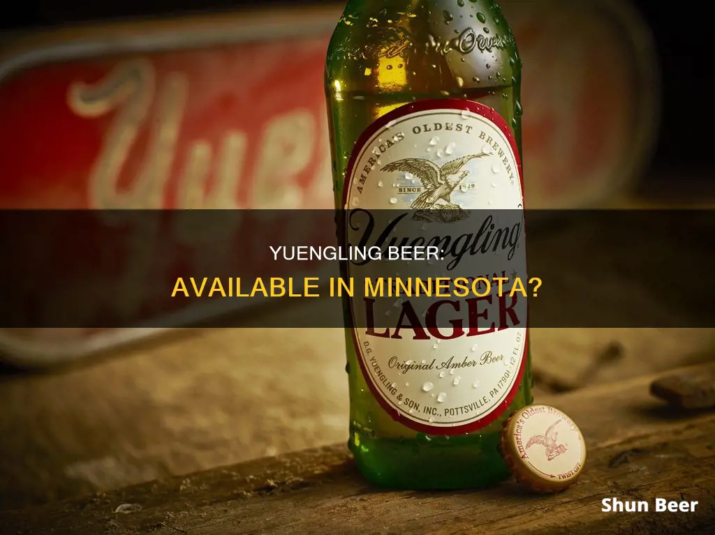 can i buy yuengling beer in minnesota