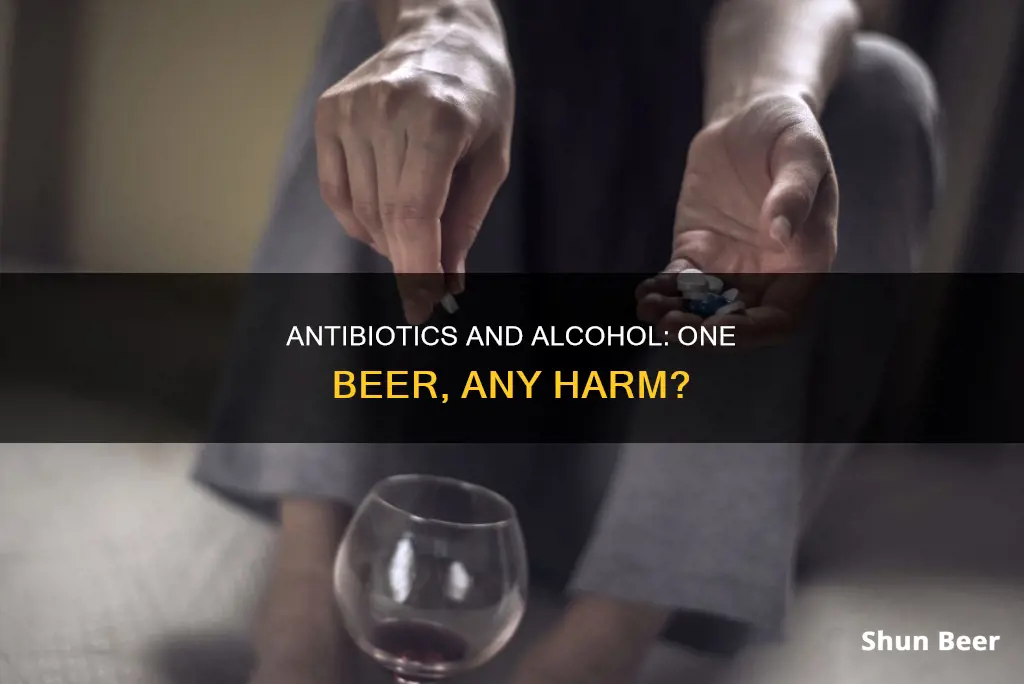 can I drink 1 beer on antibiotics