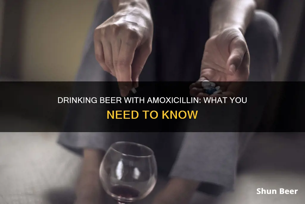 can I drink 2 beers when taking amoxicillin