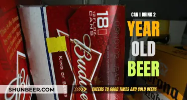 Old Beer: Is It Safe to Drink After Two Years?