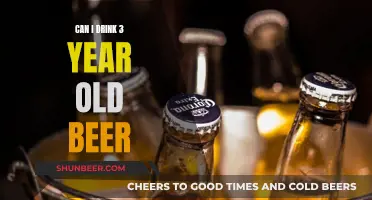 Old Beer: Is It Safe to Drink After Three Years?