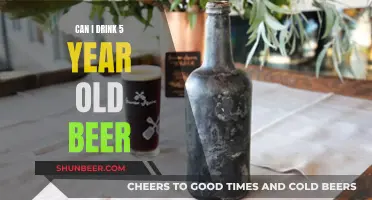 Old Beer: Is It Safe to Drink After 5 Years?