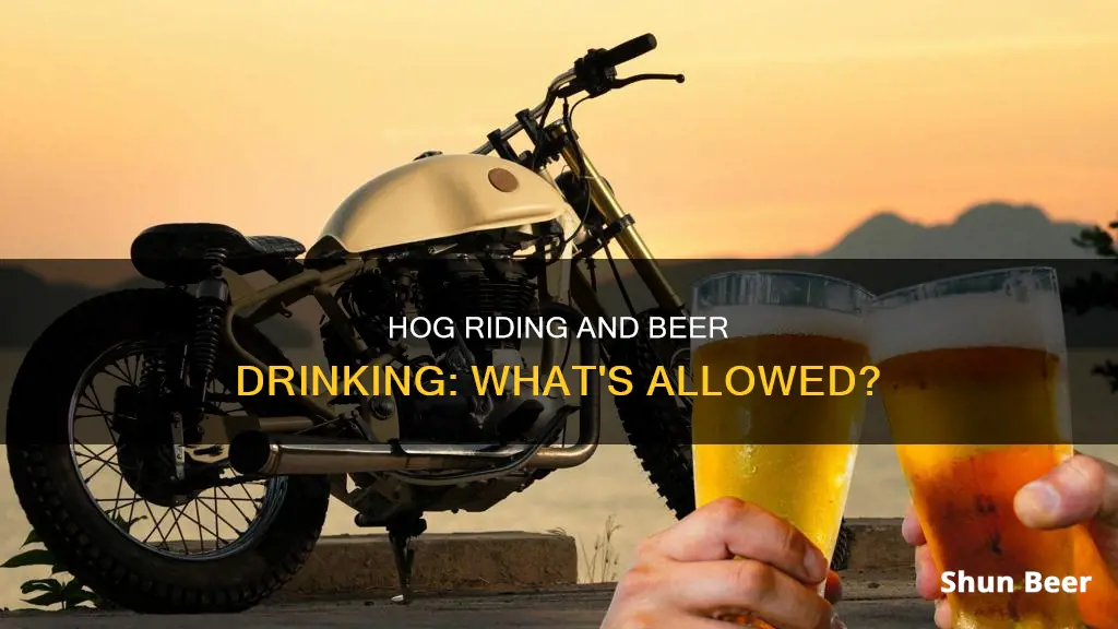 can I drink a beer on a hog ride