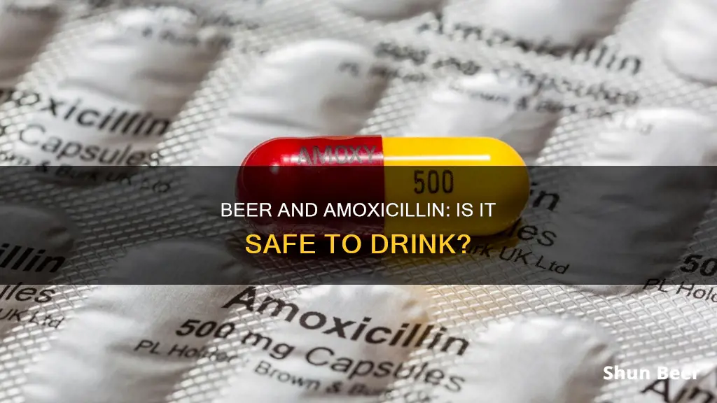 can I drink a beer on amoxicillin