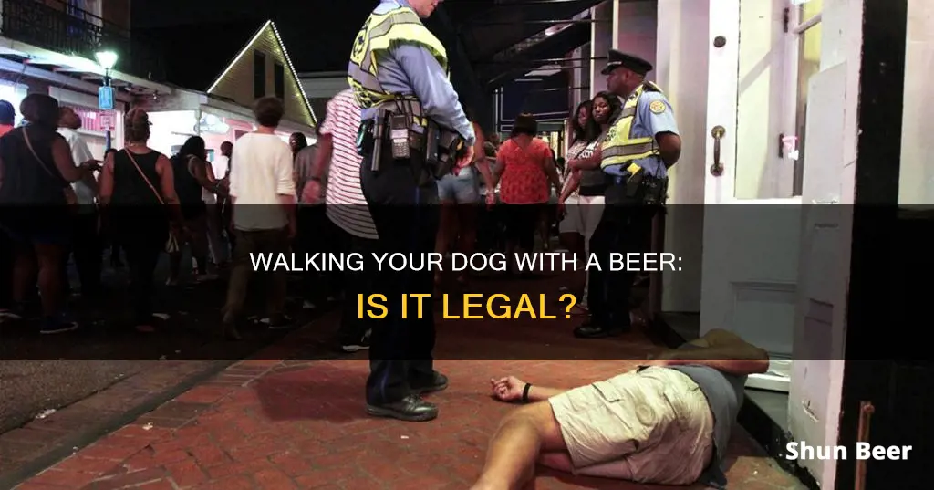 can I drink a beer while I walk my dog