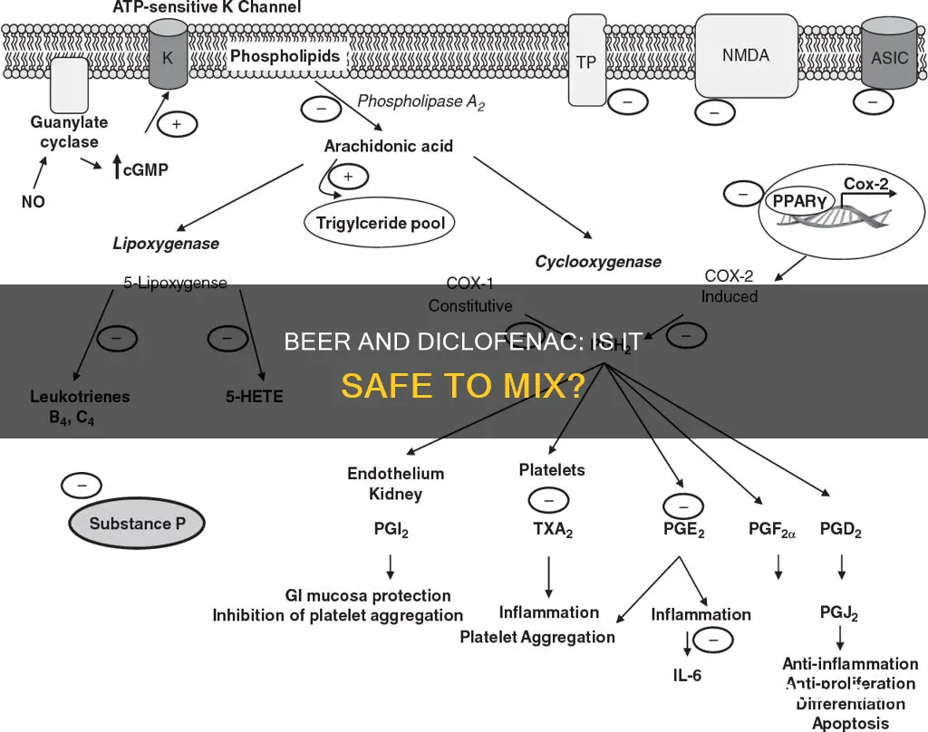 can I drink a beer while taking diclofenac