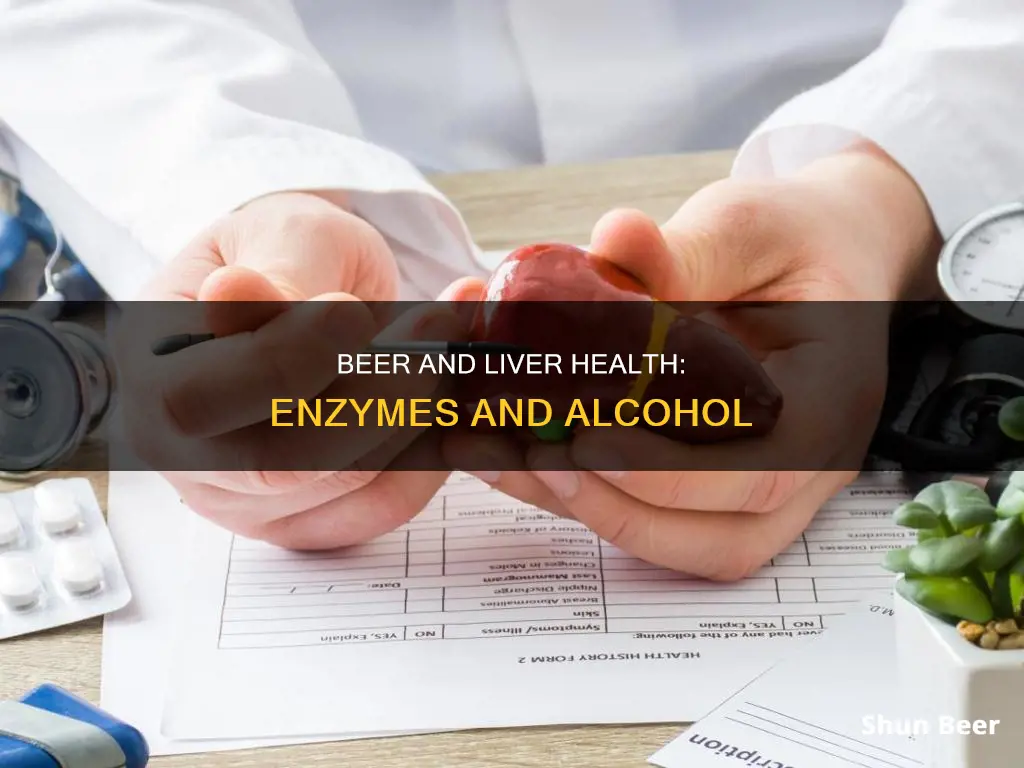 can I drink a beer with high liver enzymes