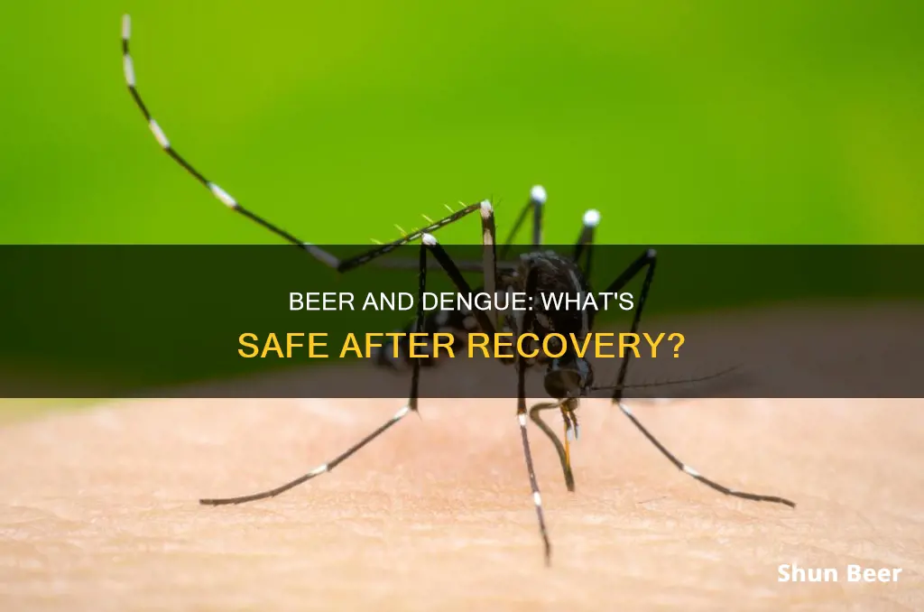 can I drink beer after dengue fever