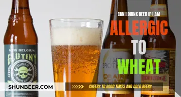 Beer and Wheat Allergies: Is Drinking Safe?