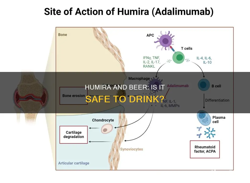 can I drink beer if I take humira