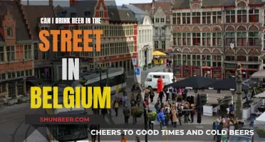 Drinking Beer in Belgium: Street Legal or Not?