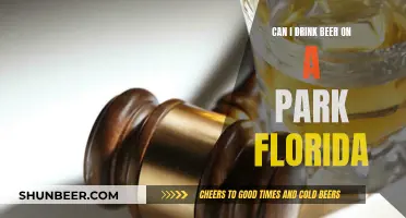 Drinking Beer in Florida Parks: What's the Law?