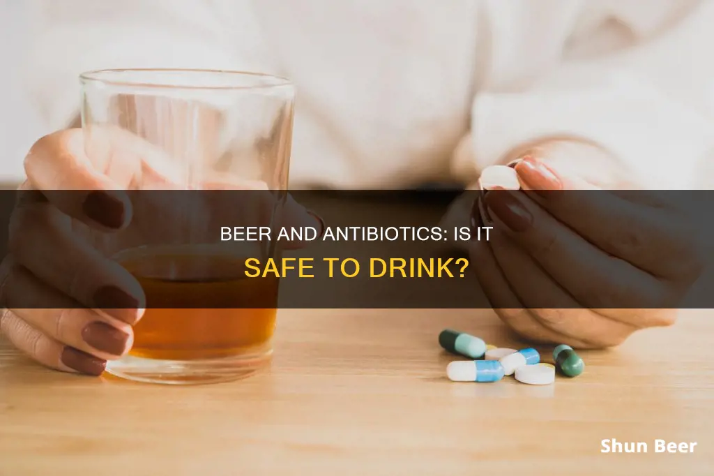 can I drink beer on anti biotics