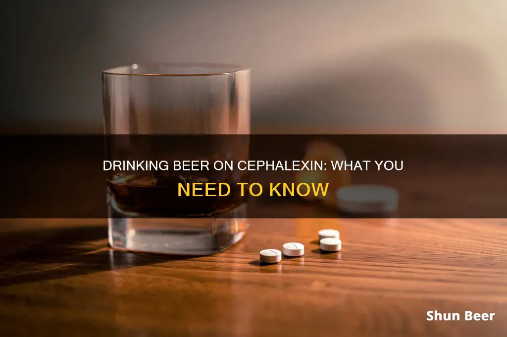 can I drink beer on cephalexin