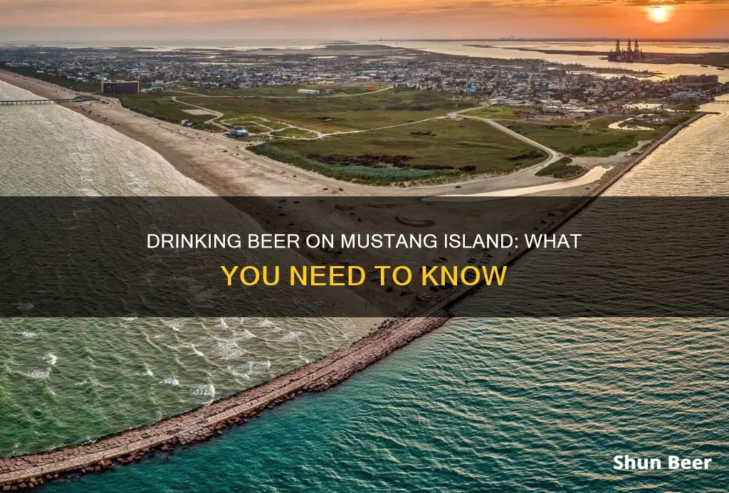 can I drink beer on mustang island