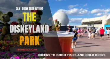 Beer Drinking Outside Disneyland: What You Need to Know