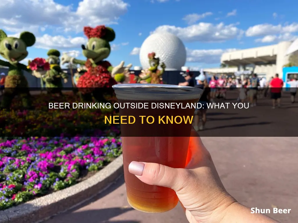 can I drink beer outside the disneyland park