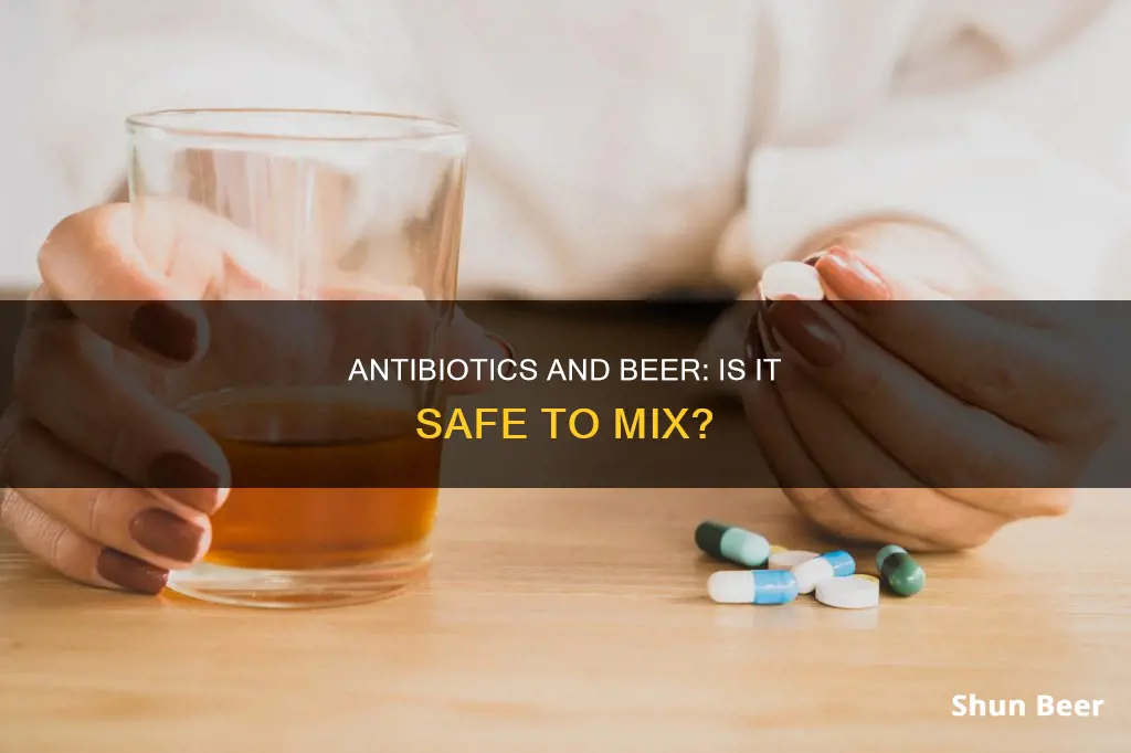 can I drink beer while on antiiotics