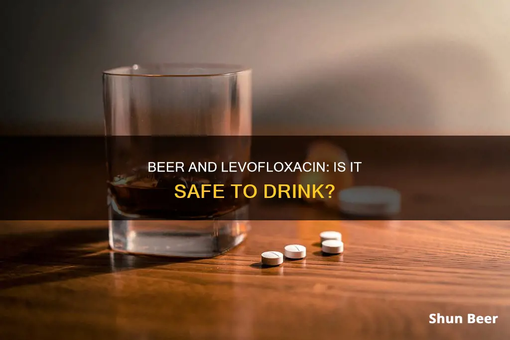 can I drink beer while on levofloxacin