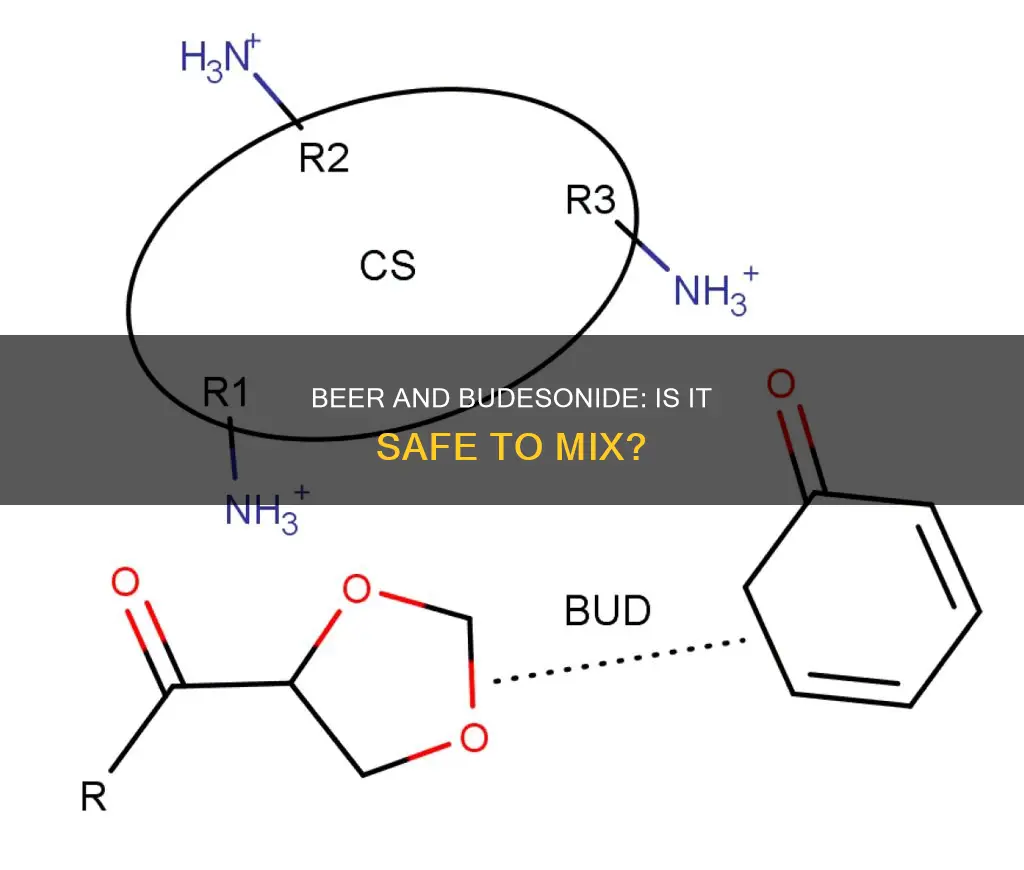 can I drink beer while taking budesonide