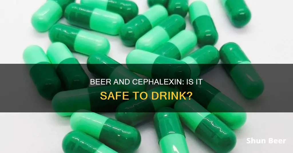 can I drink beer while taking cephalexin