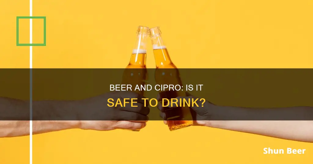 can I drink beer while taking cipro