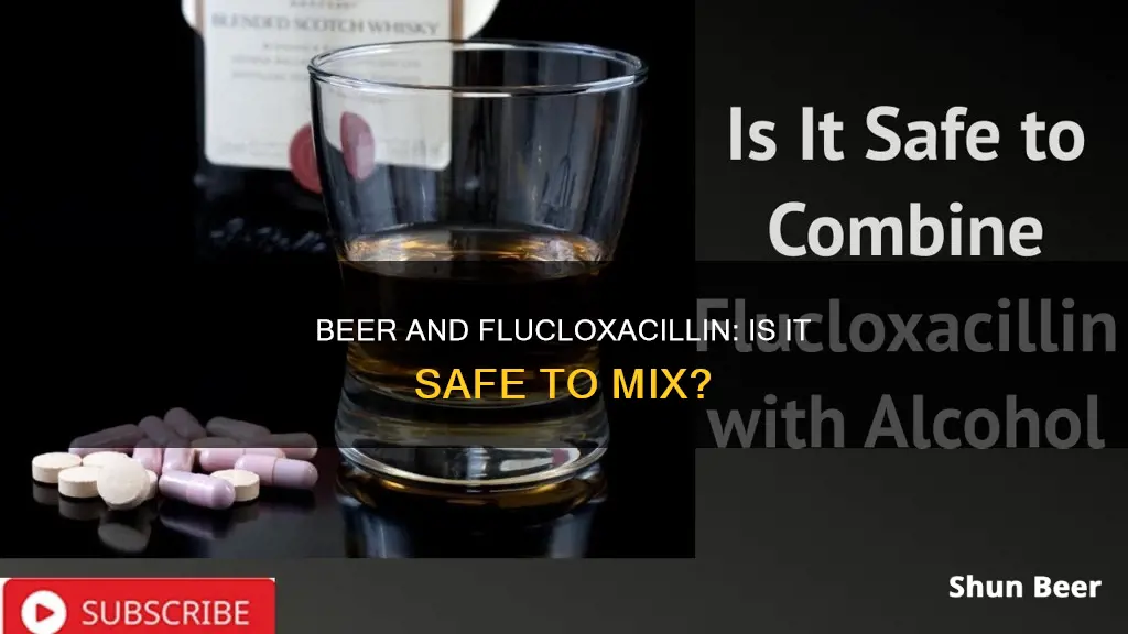 can I drink beer while taking flucloxacillin