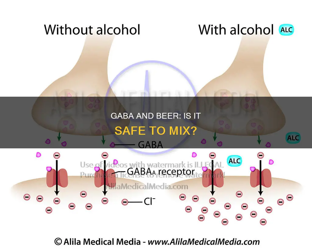 can I drink beer while taking gaba