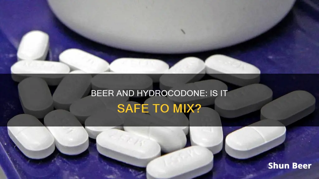 can I drink beer while taking hydrocodone