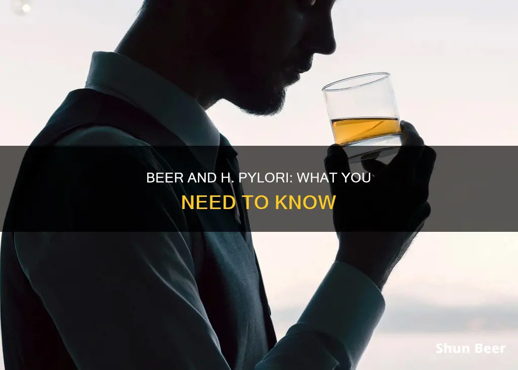 can I drink beer with h pylori