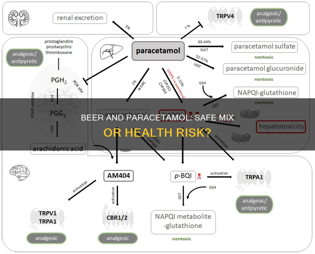 can I drink beer with paracetamol