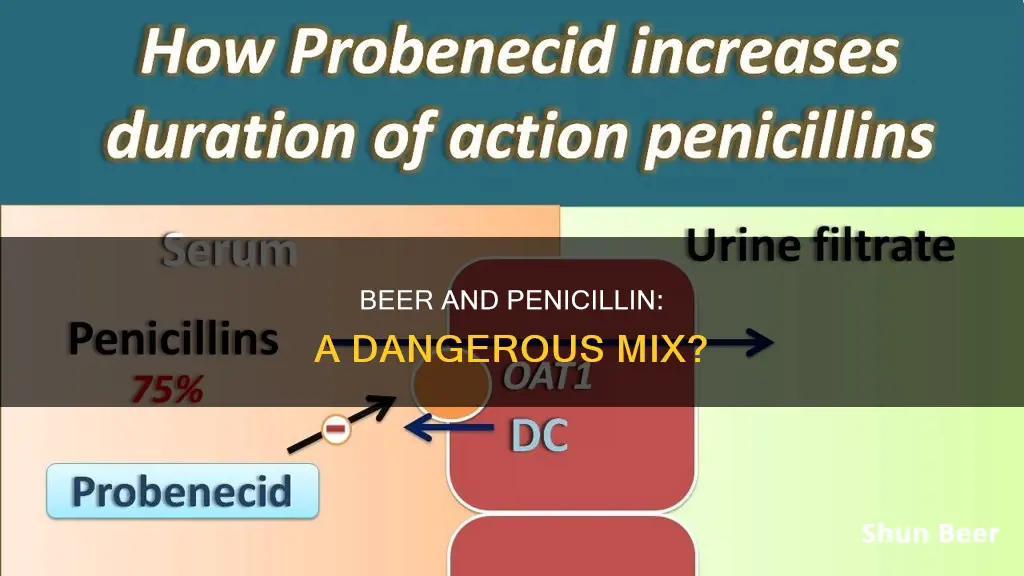 can I drink beer with penniclian