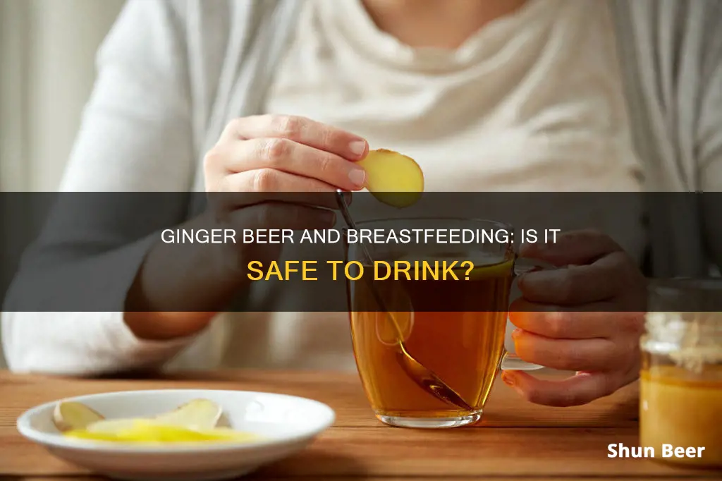 can I drink ginger beer while breastfeeding