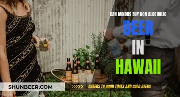 Hawaii's Non-Alcoholic Beer Laws: Minors and Purchasing