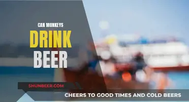 Monkeys and Beer: A Safe Combination?