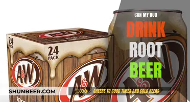 Is Root Beer Safe for Dogs to Drink?