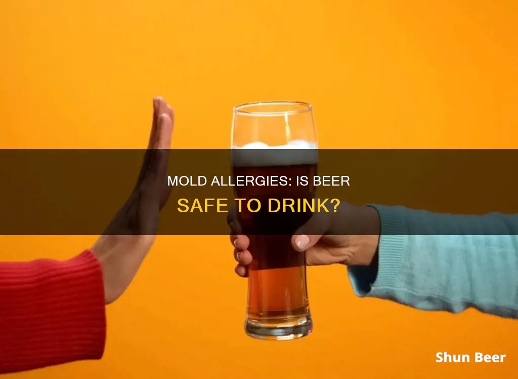 can one with mold allergies drink beer