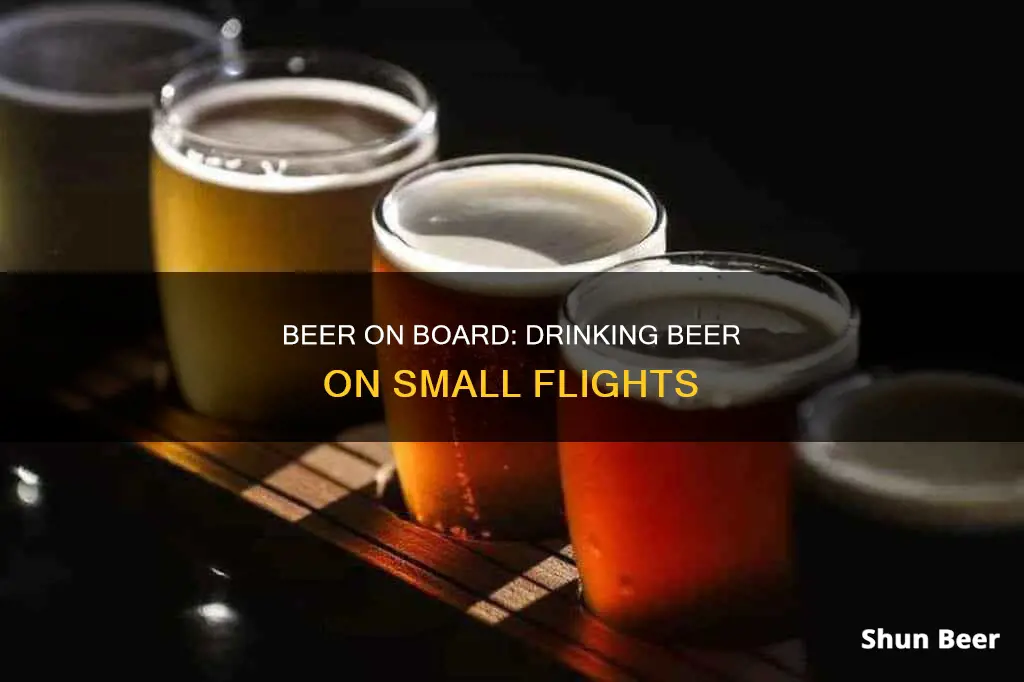 can passengers drink beer on a small flight