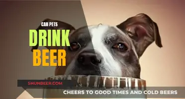 Pets and Beer: What's the Deal?