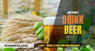 Plants and Beer: A Refreshing Combination?