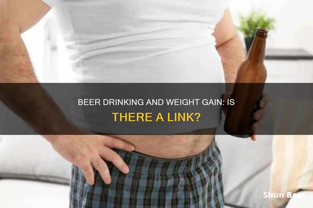 can tiu gain weight drinking beer