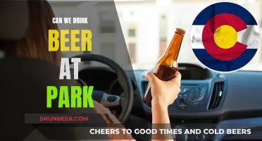 Drinking Beer at the Park: Is It Legal?